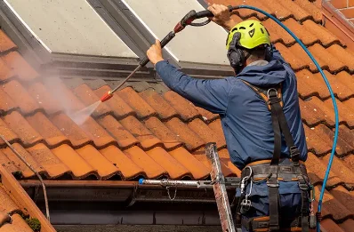 Démoussage et hydrofuge de toiture à Feuguerolles